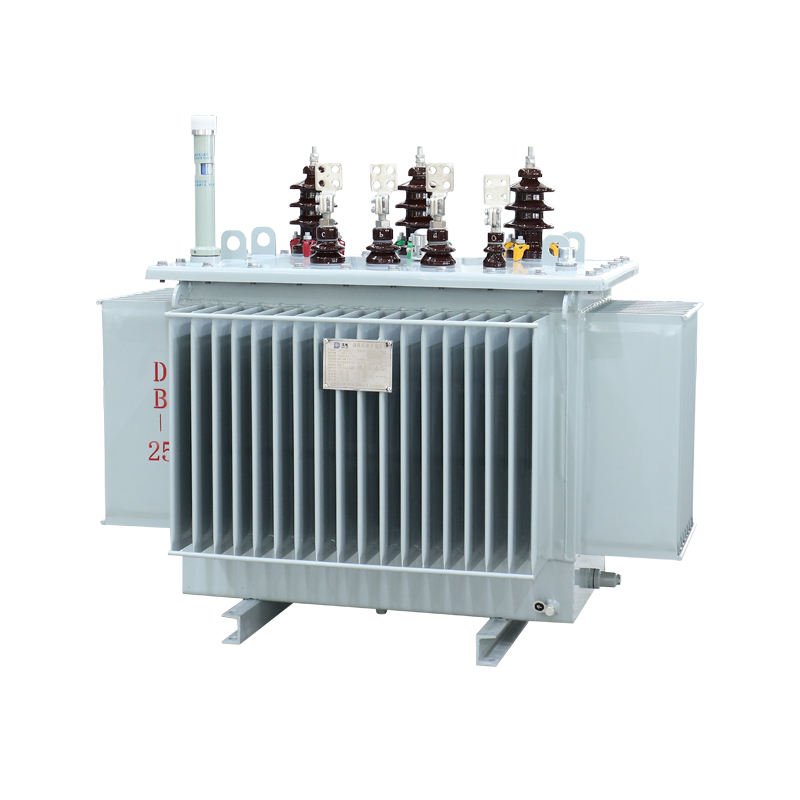 Oil Immersed Distribution Transformer 100 kVA